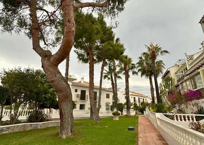 Ancora 4: En Urbanizacion Con Piscina Τορεβιέχα